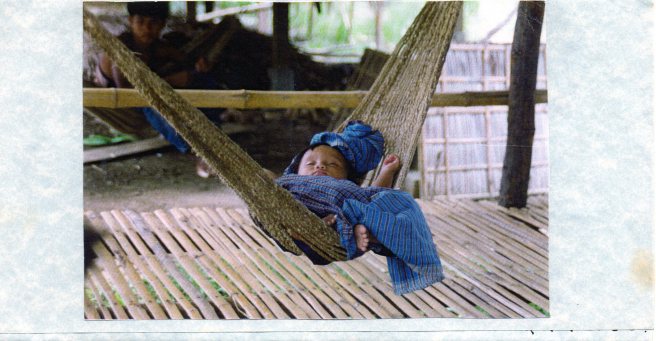 Baby in Hammock for Christmas blog